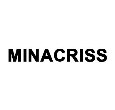 Mina A12+ (iPhone 11 Pro / iPhone 13 Mini) Bypass IOS 17